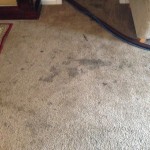 Dirty-Carpet-San Francisco-CA