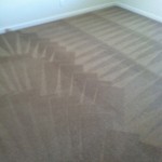 San Francisco-Carpet-Cleaning-Wall-To-Wall
