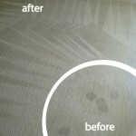 San Francisco-Wine-Stain-Carpet-Cleaning